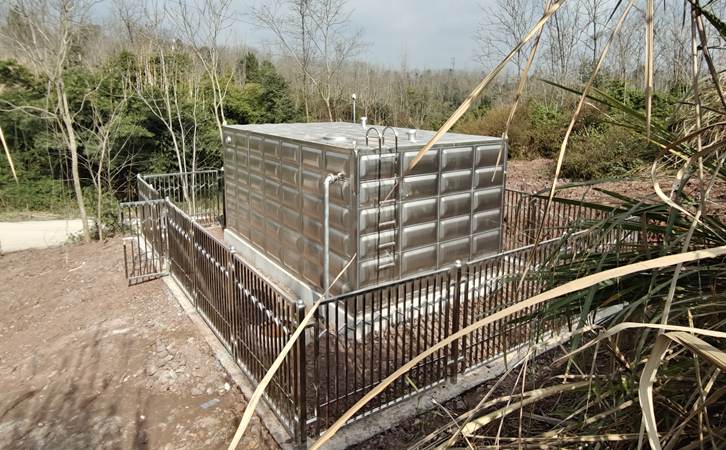 1766973096101859.jpg 302.jpg