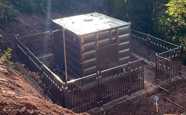 1773126266266651.jpg 300.jpg